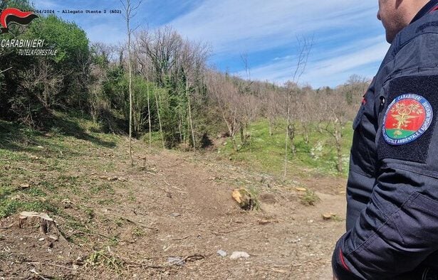 Carabinieri Forestali