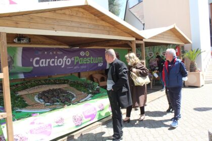 Stand Carciofo