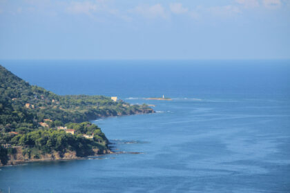 Licosa