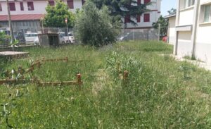 Erba scuole Agropoli