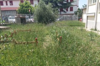 Erba scuole Agropoli