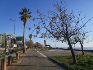 Lungomare di Salerno