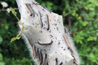 Esplorare la montagna