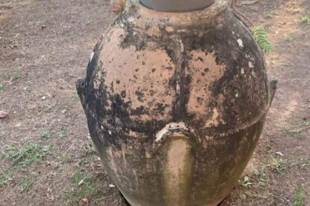 Furti anfore Salvitelle