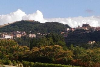 Panorama Oliveto Citra