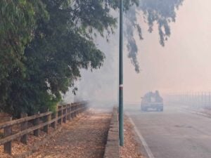 Incendio Capaccio