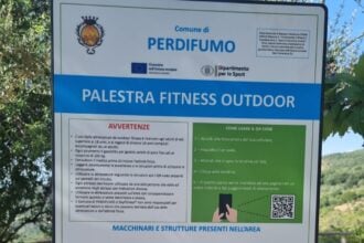 Perdifumo fitness