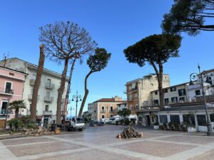 Pini piazza Lucia