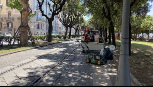 Salerno Manutenzione verde