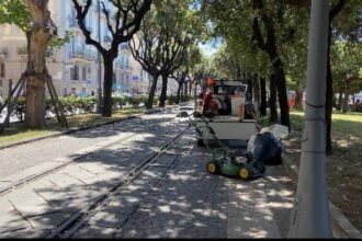 Salerno Manutenzione verde