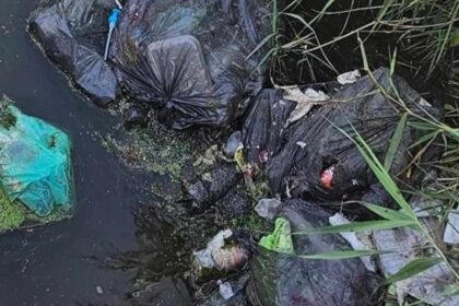 Capaccio Paestum, rifiuti abbandonati