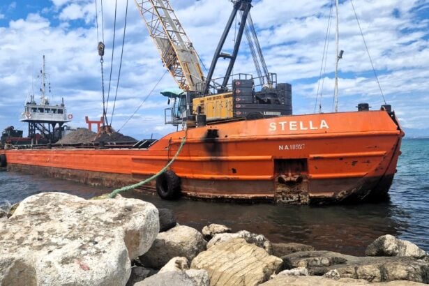 Posidonia spiaggiata, reimmissione in mare