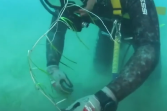 Elettrodotto nel Tirreno, pianta