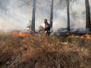 Incendio Vallo di Diano