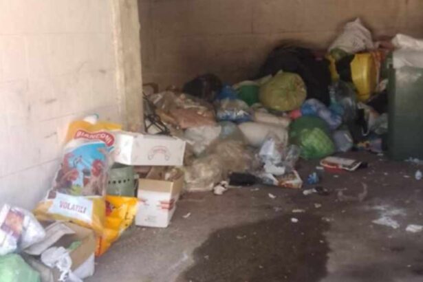 Petina, cumuli rifiuti