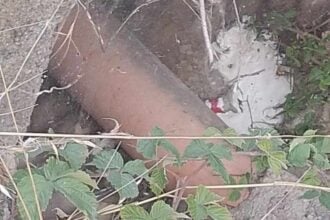 Sassano, ritrovato tubo in ferro dalle guardie zoofile