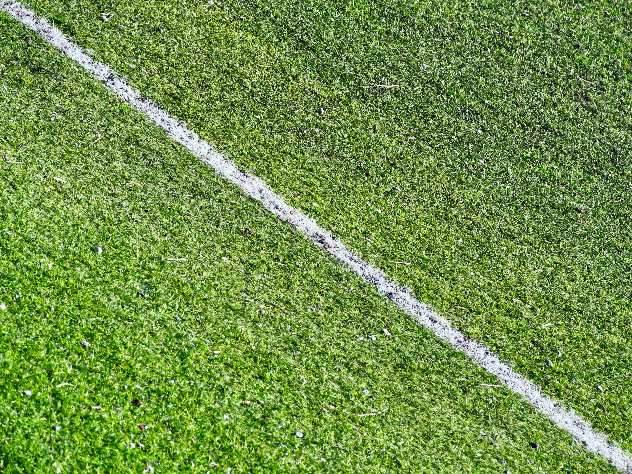 Campo calcio