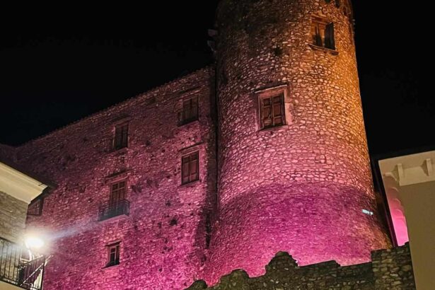 Roccadaspide, Castello Filomarino