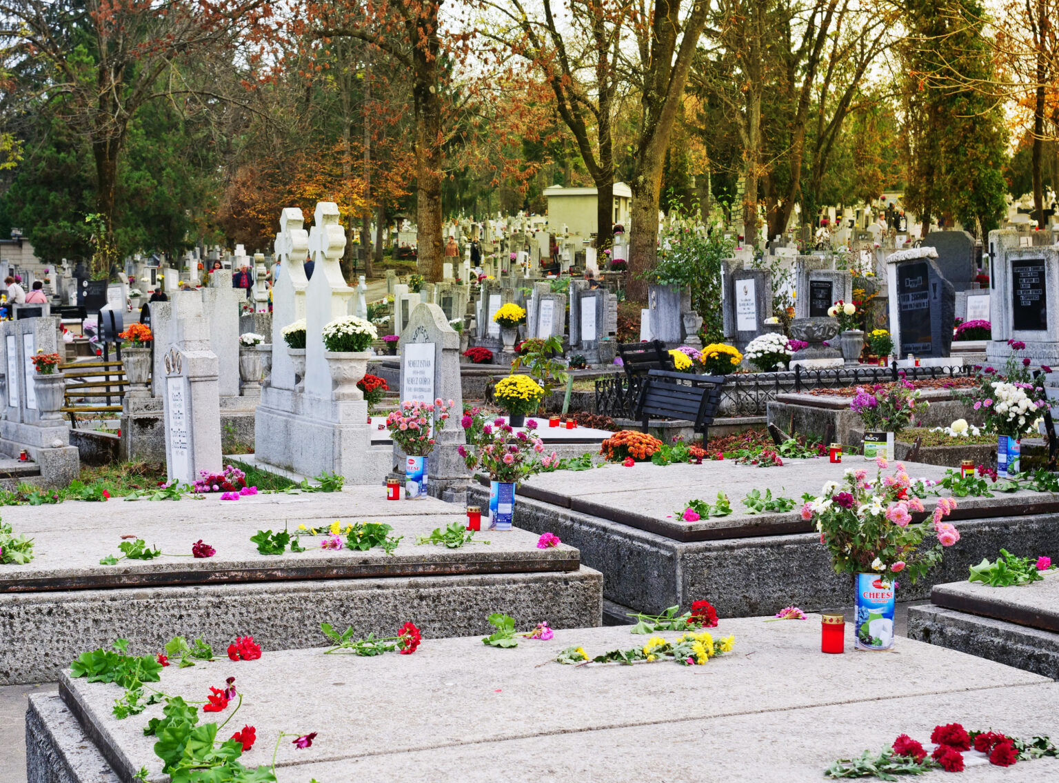 Cimitero