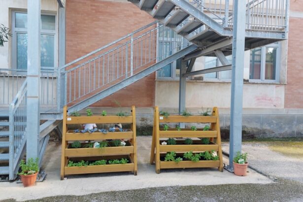 Erbe aromatiche Landolfi