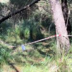 Pineta Ogliastro Marina