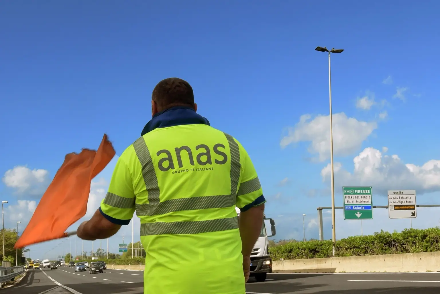 Anas