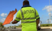 Anas
