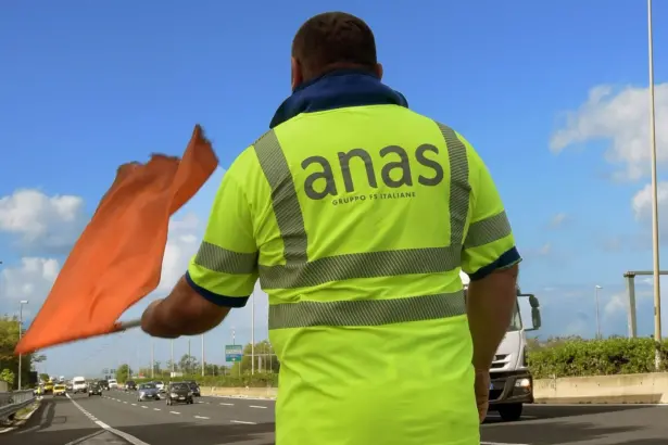 Anas