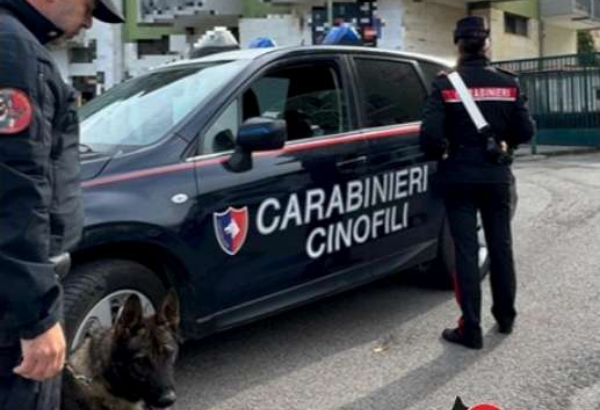 Carabinieri Cinofili