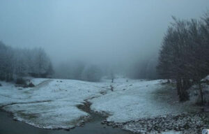 Neve Cervati