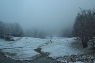 Neve Cervati