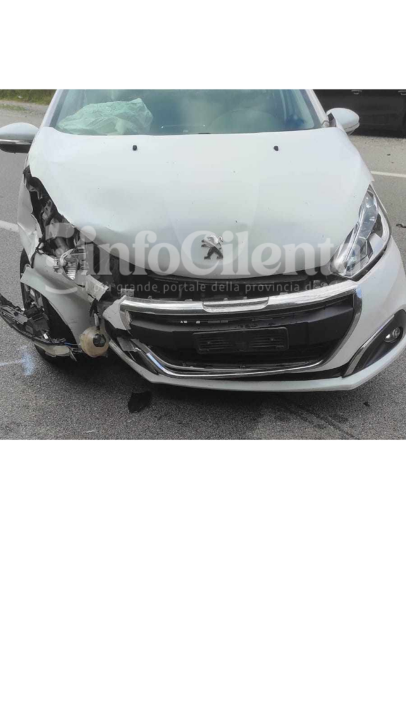 Incidente Mingardina