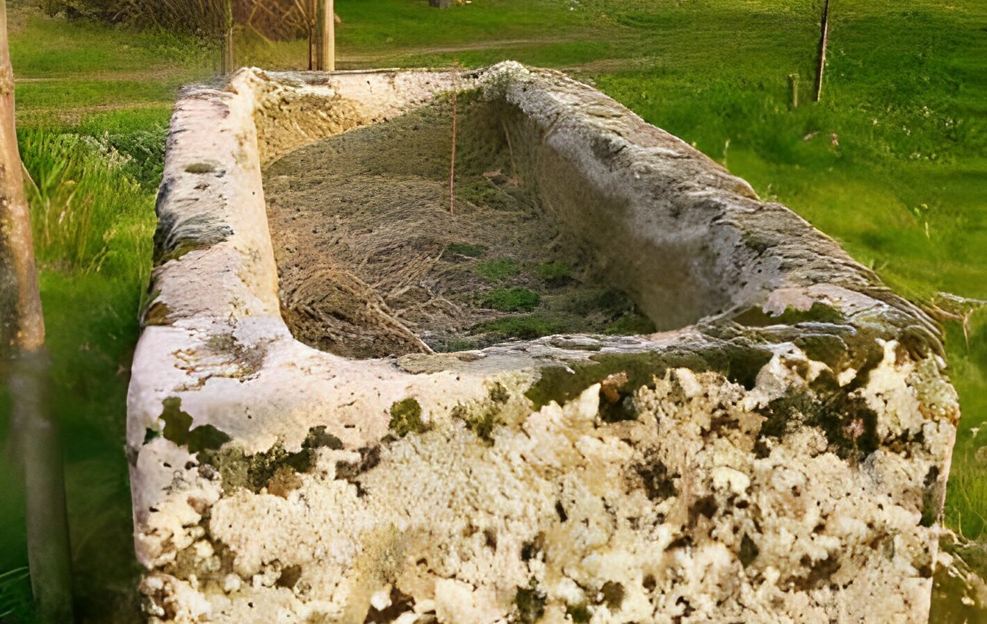 Sarcofago Monte Gelbison