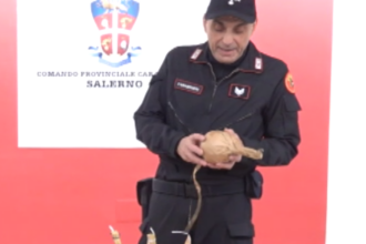 Carabinieri artificieri