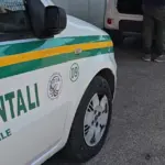 Guardie Ambientali