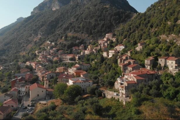 Magliano Vetere, panorama