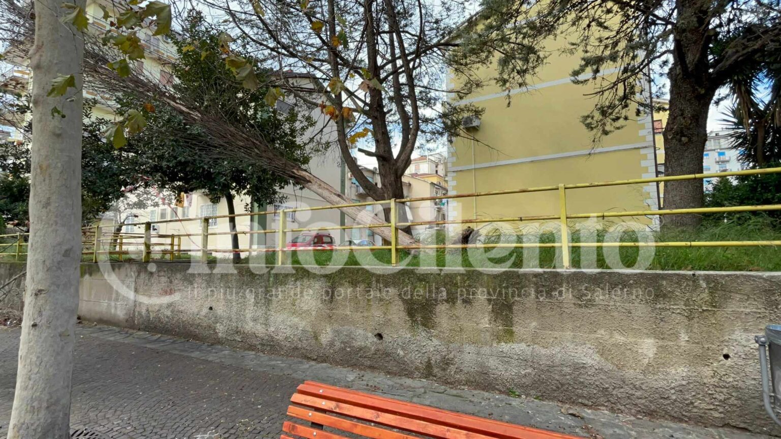 Eboli, albero caduto