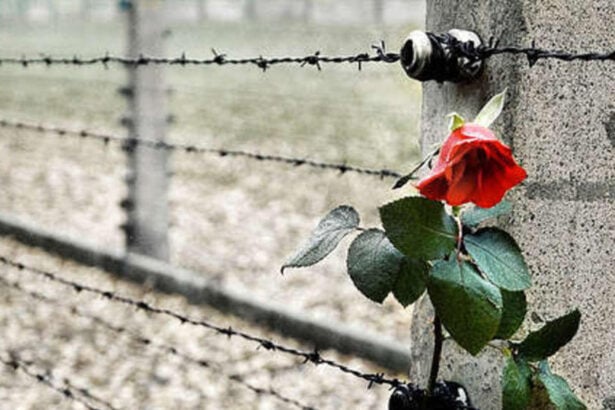 Giorno della memoria