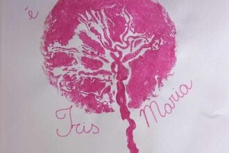 Sapri, prima nata del 2025