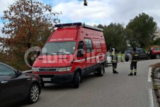 Torre Orsaia, Michele Cedrola