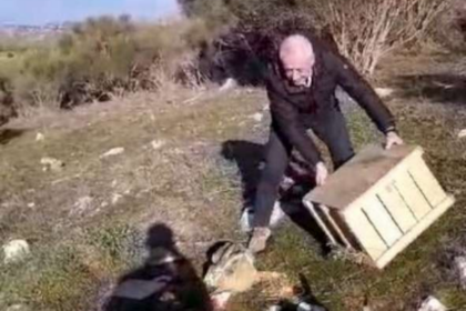 Vallo di Diano, ripopolamento