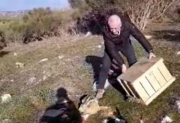 Vallo di Diano, ripopolamento