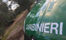 Carabinieri forestali