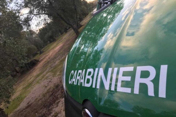 Carabinieri forestali