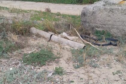 Eternit molo dei francesi