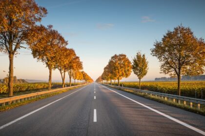 Mobilità Sicura