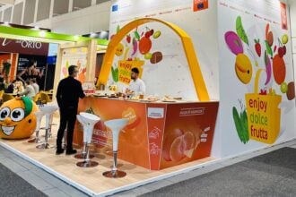 Mandarino, piana del sele