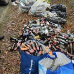 Giornata ecologica, Sala Consilina