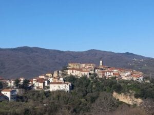 Campora