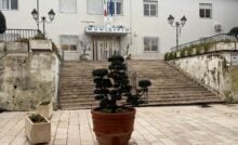 Municipio Capaccio Paestum